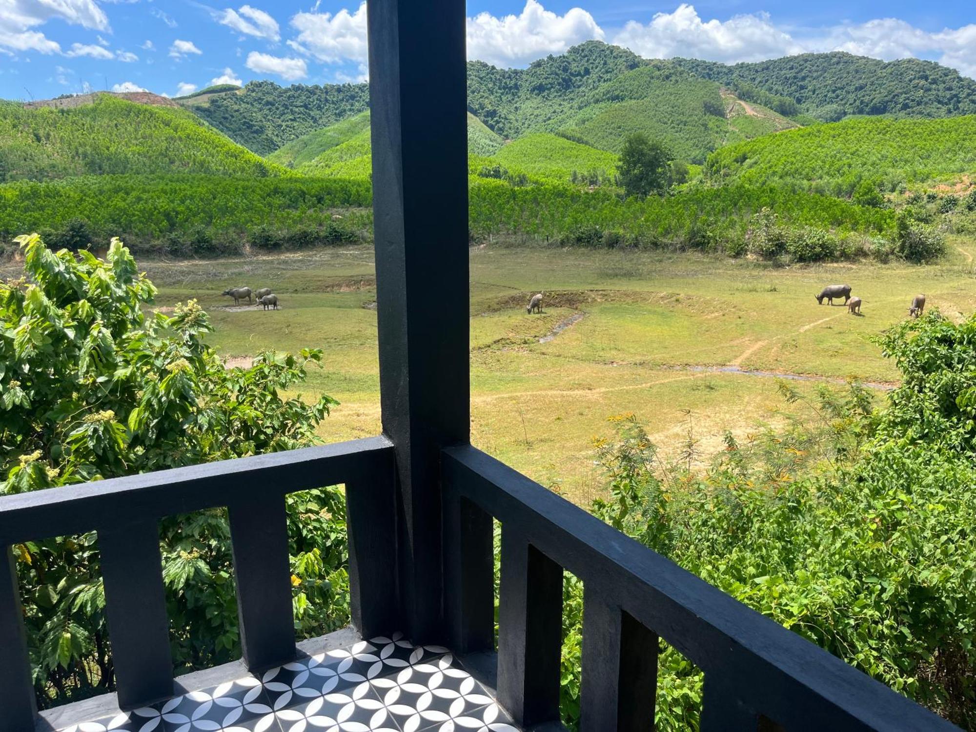 Nguyen Shack Retreat Resort Phong Nha Kültér fotó