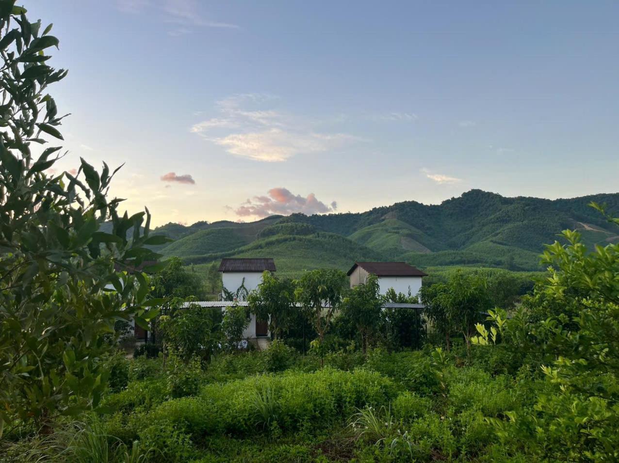 Nguyen Shack Retreat Resort Phong Nha Kültér fotó