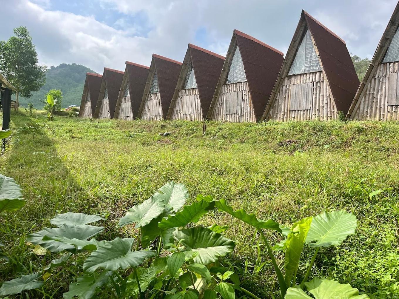 Nguyen Shack Retreat Resort Phong Nha Kültér fotó